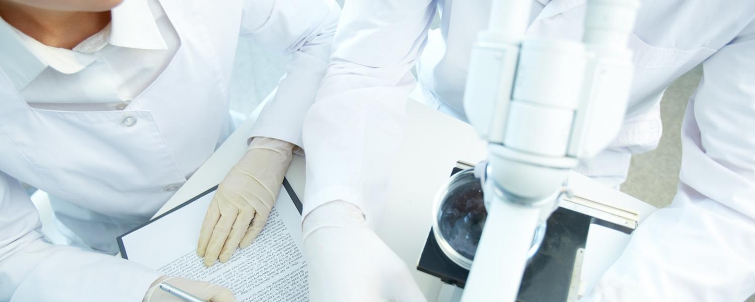 Researchers working together on a project 