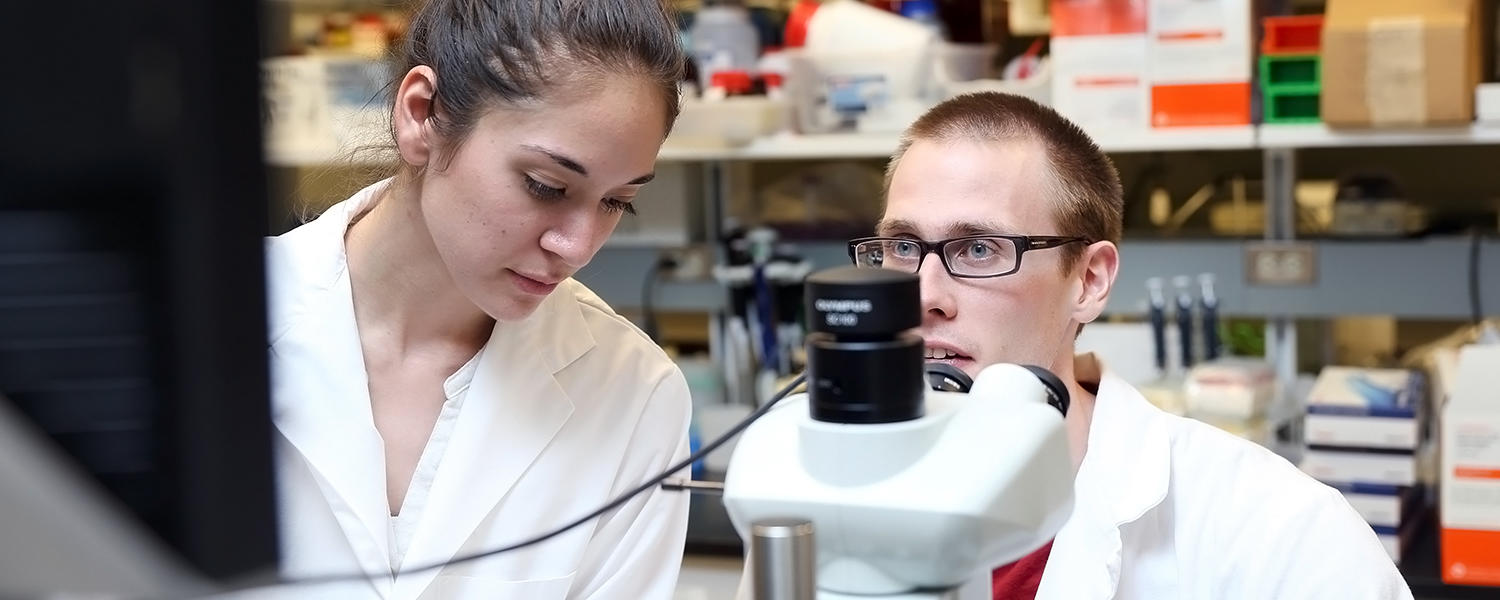2 students by microscope in the Herzog lab 