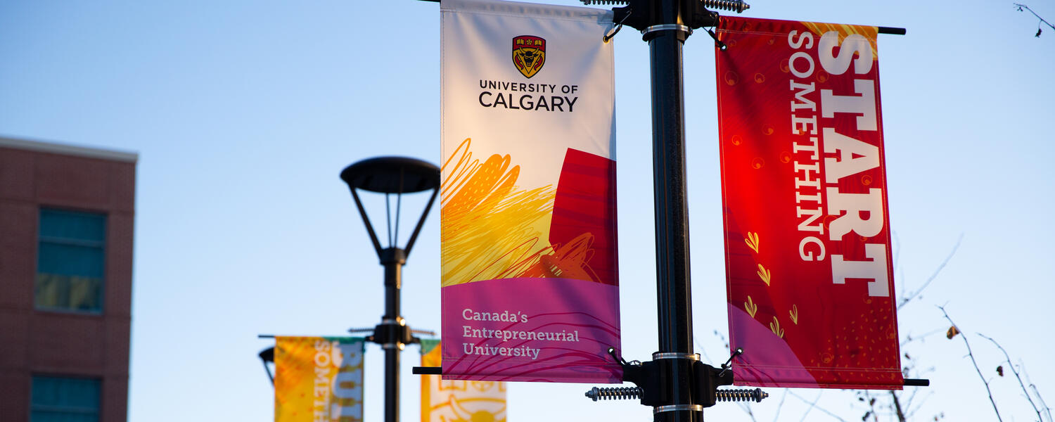 row of UCalgary flags