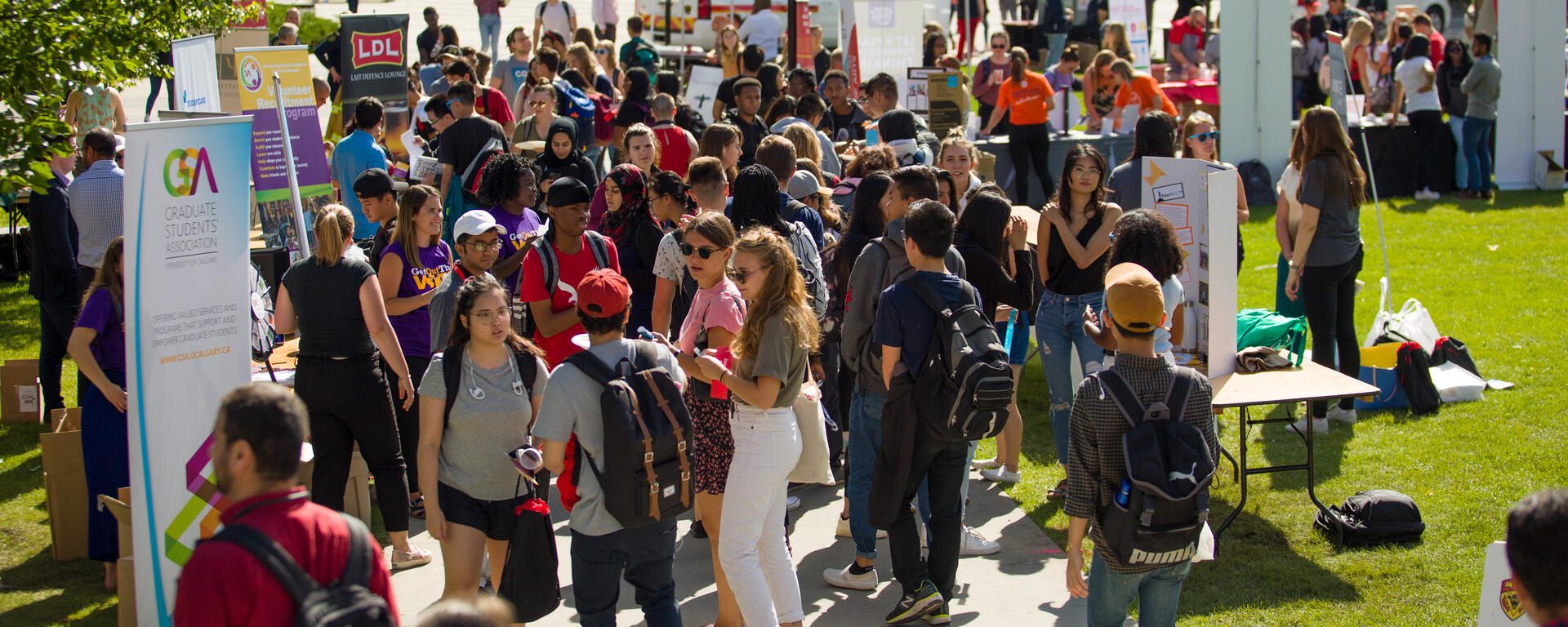 far shot of group of people