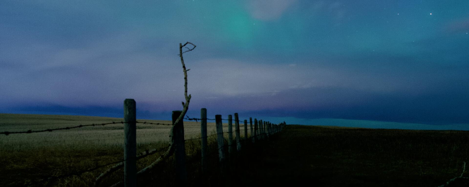 Blue aurora borealis over farmer's field