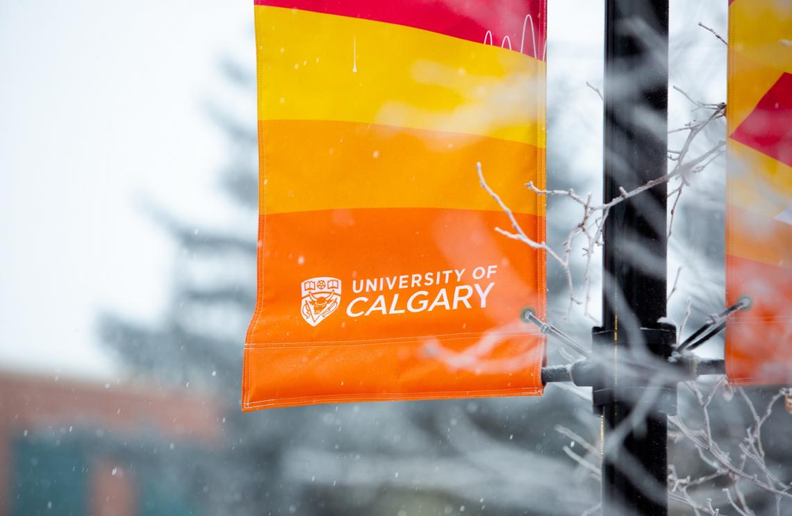 Flag with university logo outside on main campus
