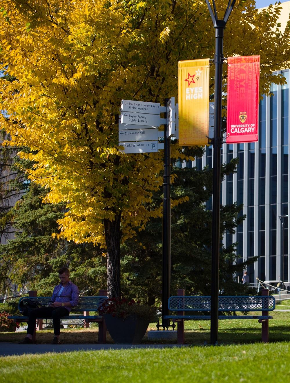 UCalgary campus in fall 