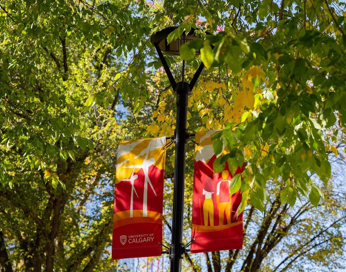 fall outdoors on campus