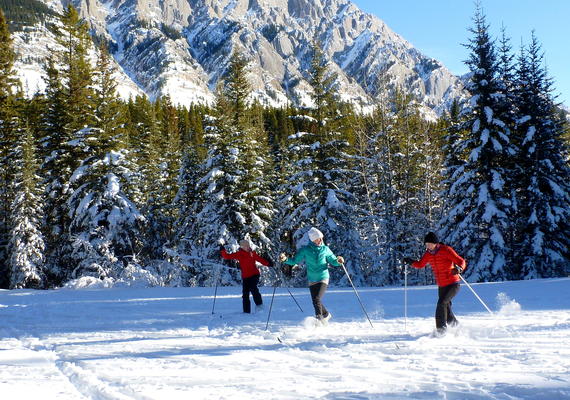 group cross country skiing