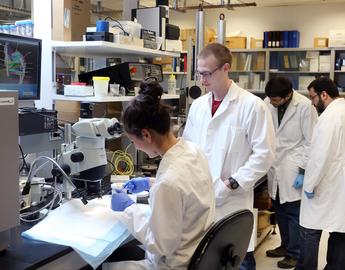 Students in the Herzog lab 